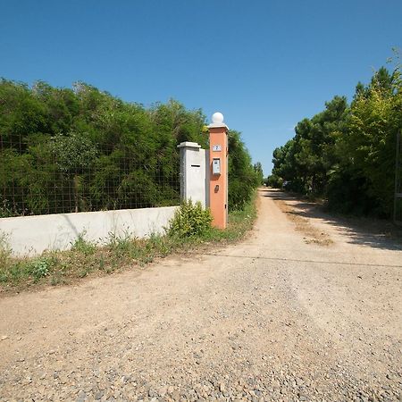 Гостьовий будинок Fattoria Corte Noa Masainas Екстер'єр фото
